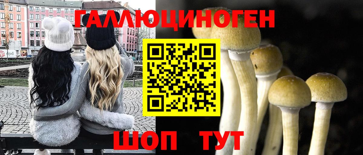 Галлюциногенные грибы Psilocybe  Вход с VPN  Галлюциногенные грибы прущие грибы  Лабинск 